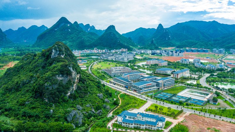 成都电子代工：探寻优缺点，把握行业脉搏
