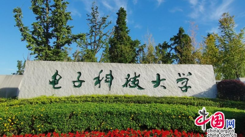 国产电子元器件：质量对比与替代之路